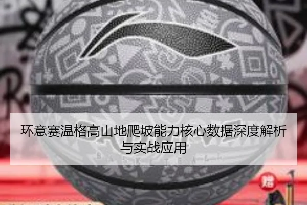 环意赛温格高山地爬坡能力核心数据深度解析与实战应用