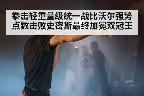 拳击轻重量级统一战比沃尔强势点数击败史密斯最终加冕双冠王