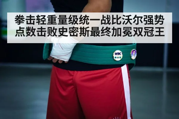 boxing championship belt